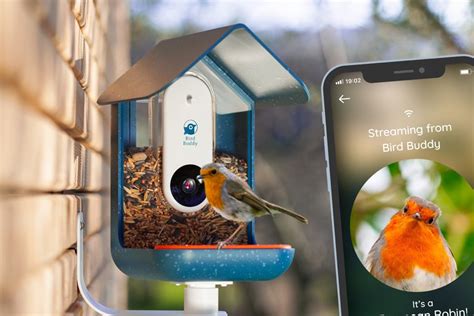 nest cameras for birds